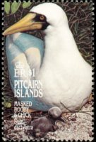 Isole Pitcairn 1995 - serie Uccelli: 1 $