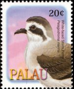 Palau 2002 - set Birds: 20 c
