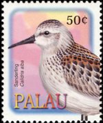 Palau 2002 - serie Uccelli: 50 c