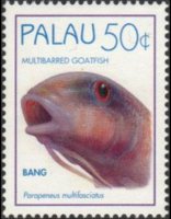 Palau 1995 - serie Pesci: 50 c