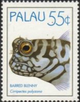 Palau 1995 - set Fish: 55 c