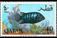 Qatar 1965 - serie Pesci: 40 np
