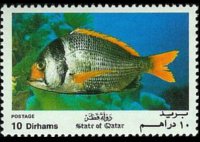 Qatar 1991 - serie Pesci: 10 d
