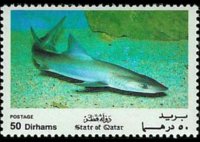 Qatar 1991 - serie Pesci: 50 d