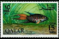 Qatar 1966 - serie Pesci - nuova valuta: 15 d su 15 np