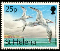 Saint Helena 1993 - set Birds: 25 p