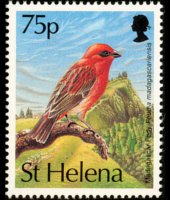 Saint Helena 1993 - set Birds: 75 p