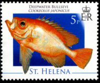 Saint Helena 2008 - set Marine life: 5 p
