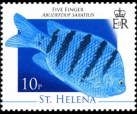 Saint Helena 2008 - set Marine life: 10 p