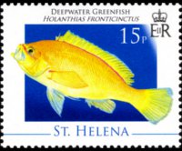 Saint Helena 2008 - set Marine life: 15 p