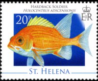 Saint Helena 2008 - set Marine life: 20 p
