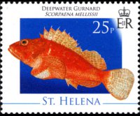 Saint Helena 2008 - set Marine life: 25 p