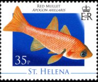 Saint Helena 2008 - set Marine life: 35 p