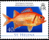 Saint Helena 2008 - set Marine life: 40 p