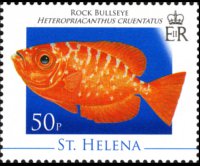 Saint Helena 2008 - set Marine life: 50 p