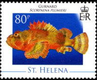 Saint Helena 2008 - set Marine life: 80 p