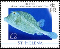 Saint Helena 2008 - set Marine life: 2 £