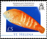 Saint Helena 2008 - set Marine life: 5 £