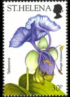 Saint Helena 2003 - set Flowers: 30 p