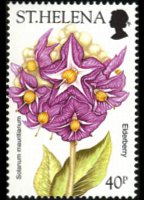 Saint Helena 2003 - set Flowers: 40 p
