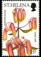 Saint Helena 2003 - set Flowers: 75 p