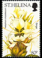 Saint Helena 2003 - set Flowers: 80 p