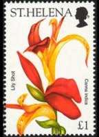 Saint Helena 2003 - set Flowers: 1 £