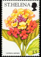 Saint Helena 2003 - set Flowers: 5 £