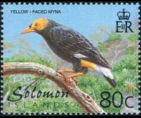 Isole Salomone 2001 - serie Uccelli: 80 c