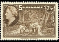 Suriname 1945 - set Pictures of Suriname: 2½ c