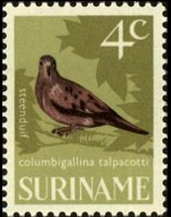Suriname 1966 - set Birds: 4 c