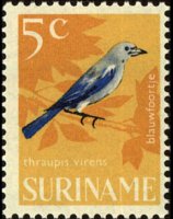 Suriname 1966 - set Birds: 5 c