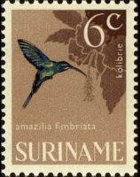 Suriname 1966 - serie Uccelli: 6 c