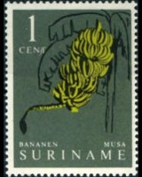 Suriname 1961 - serie Piante e frutti: 1 c