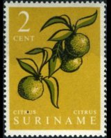 Suriname 1961 - serie Piante e frutti: 2 c