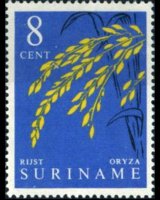 Suriname 1961 - serie Piante e frutti: 8 c