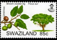 Swaziland 2007 - set Trees: 85 c