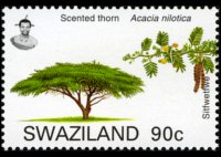 Swaziland 2007 - set Trees: 90 c