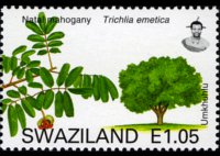 Swaziland 2007 - serie Alberi: 1,05 E
