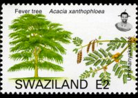 Swaziland 2007 - set Trees: 2 E