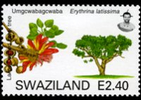 Swaziland 2007 - set Trees: 2,40 E