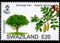 Swaziland 2007 - serie Alberi: 20 E