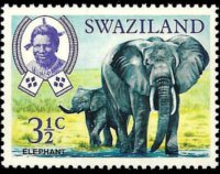 Swaziland 1969 - serie Animali: 3½  c
