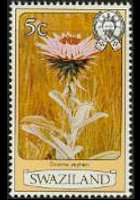 Swaziland 1980 - set Flowers: 5 c