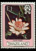 Swaziland 1980 - set Flowers: 1 E