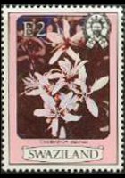 Swaziland 1980 - set Flowers: 2 E