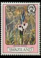 Swaziland 1980 - set Flowers: 5 E