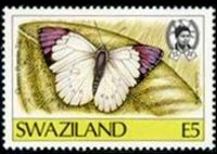 Swaziland 1987 - set Butterflies: 5 E