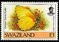 Swaziland 1992 - serie Farfalle: 1 E