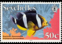 Seychelles 2003 - set Fishes: 50 c